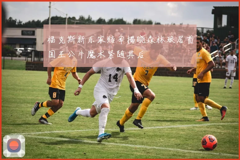 福克斯新东家赔率揭晓森林狼居首国王公牛魔术紧随其后
