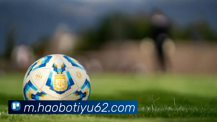 C罗盛赞卡里克具备成为伟大教练的潜力自豪为其效力的心声